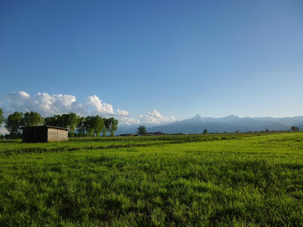 Tenuta Ajrale Vigone Ngoại thất bức ảnh